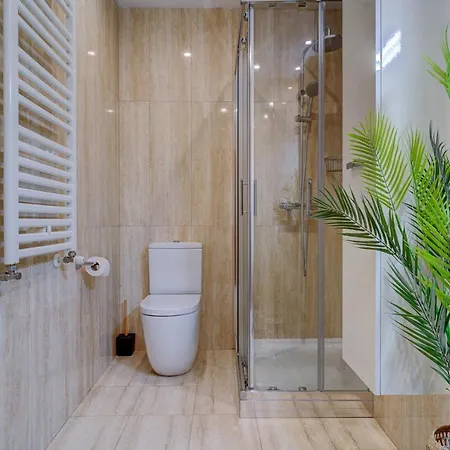 Apartment Newly Opened Cozy Terrace In The Heart By Santiago